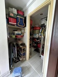 Celadon View (D17), Apartment #456791551